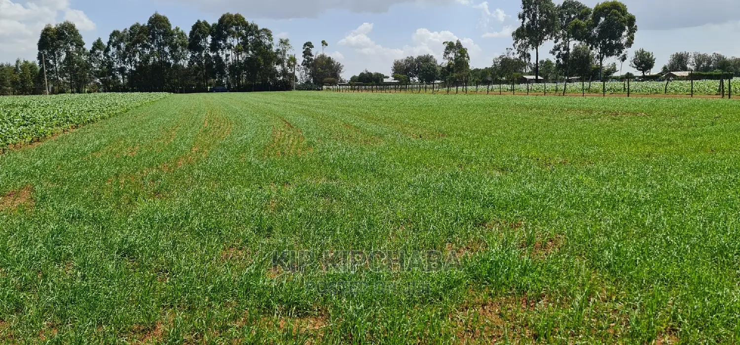 Merewet, Ziwa Road: 1-Acre Land for Sale in Eldoret in Kuinet