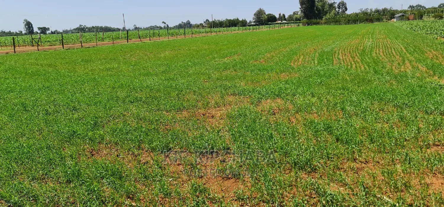Merewet, Ziwa Road: 1-Acre Land for Sale in Eldoret in Kuinet