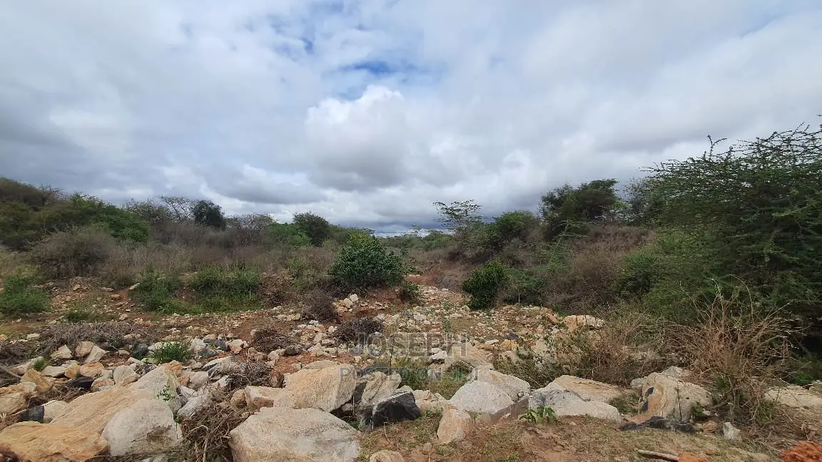 Spacious 247-acre land with 2.8km Namanga-Nairobi road frontage for sale in Bisil