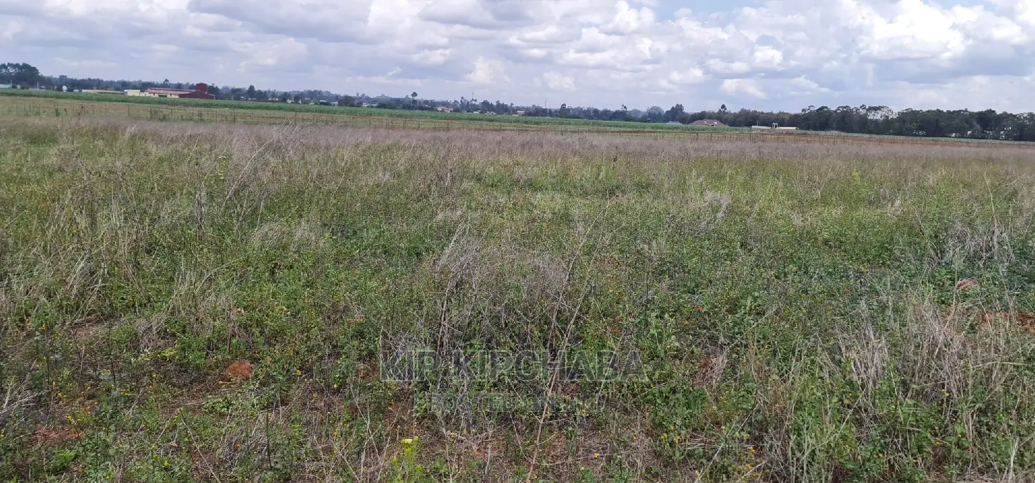 1-Acre Plot for Sale in Eldoret's Sergoit Moiben in Sergoit