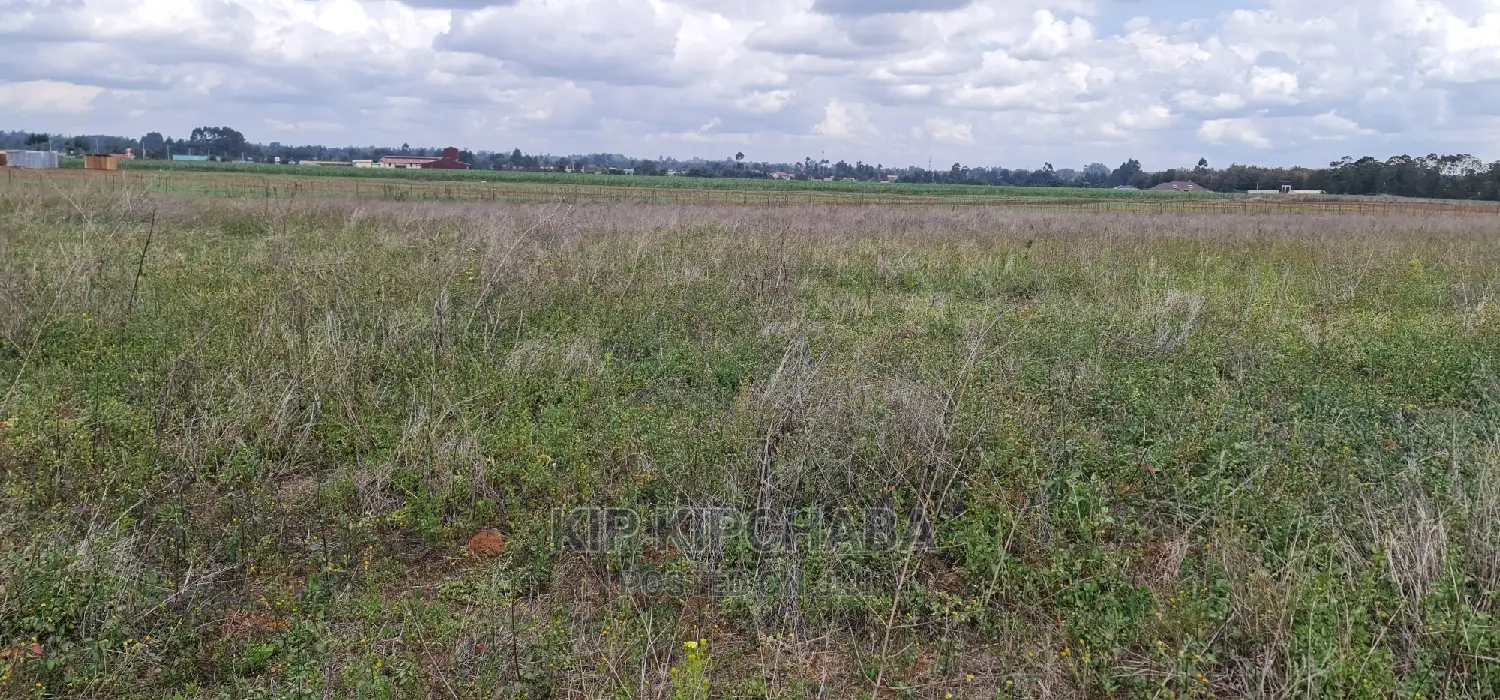 1-Acre Plot for Sale in Eldoret's Sergoit Moiben in Sergoit