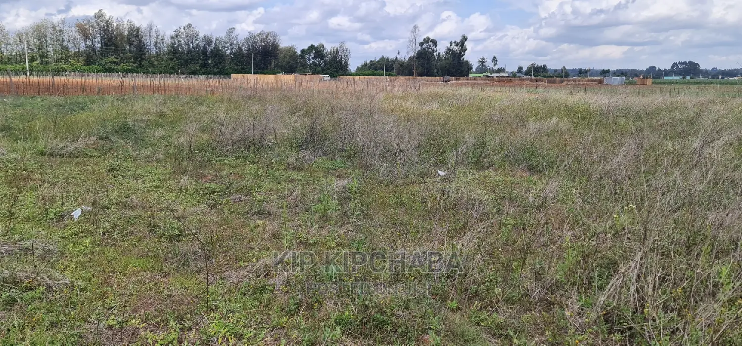 1-Acre Plot for Sale in Eldoret's Sergoit Moiben in Sergoit