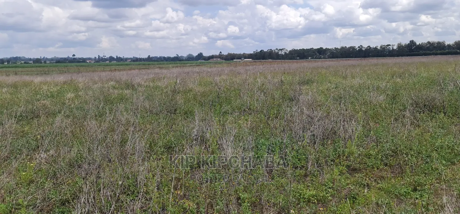 1-Acre Plot for Sale in Eldoret's Sergoit Moiben in Sergoit
