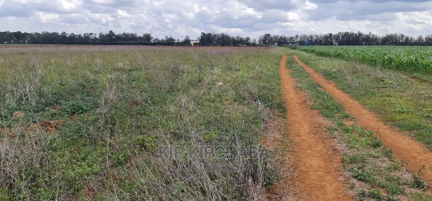 1-Acre Plot for Sale in Eldoret's Sergoit Moiben in Sergoit