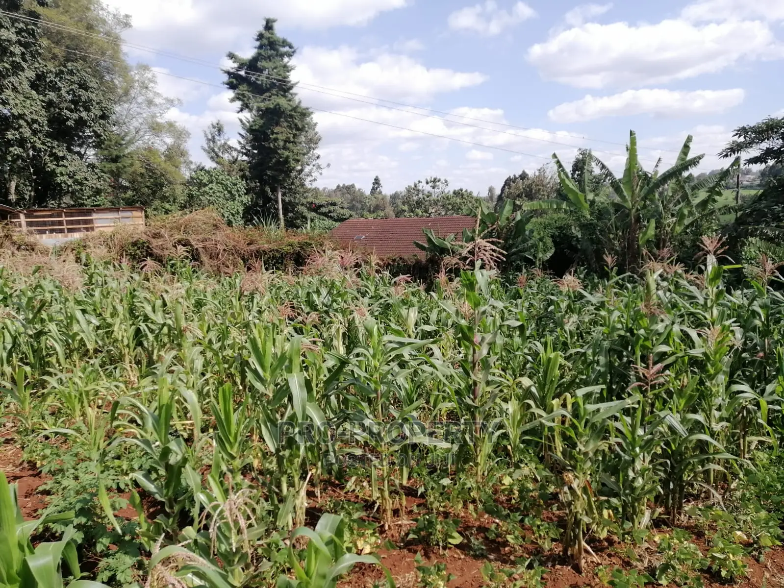 Commercial Land for Sale: 0.05 Ha in Kikuyu Town in Karai