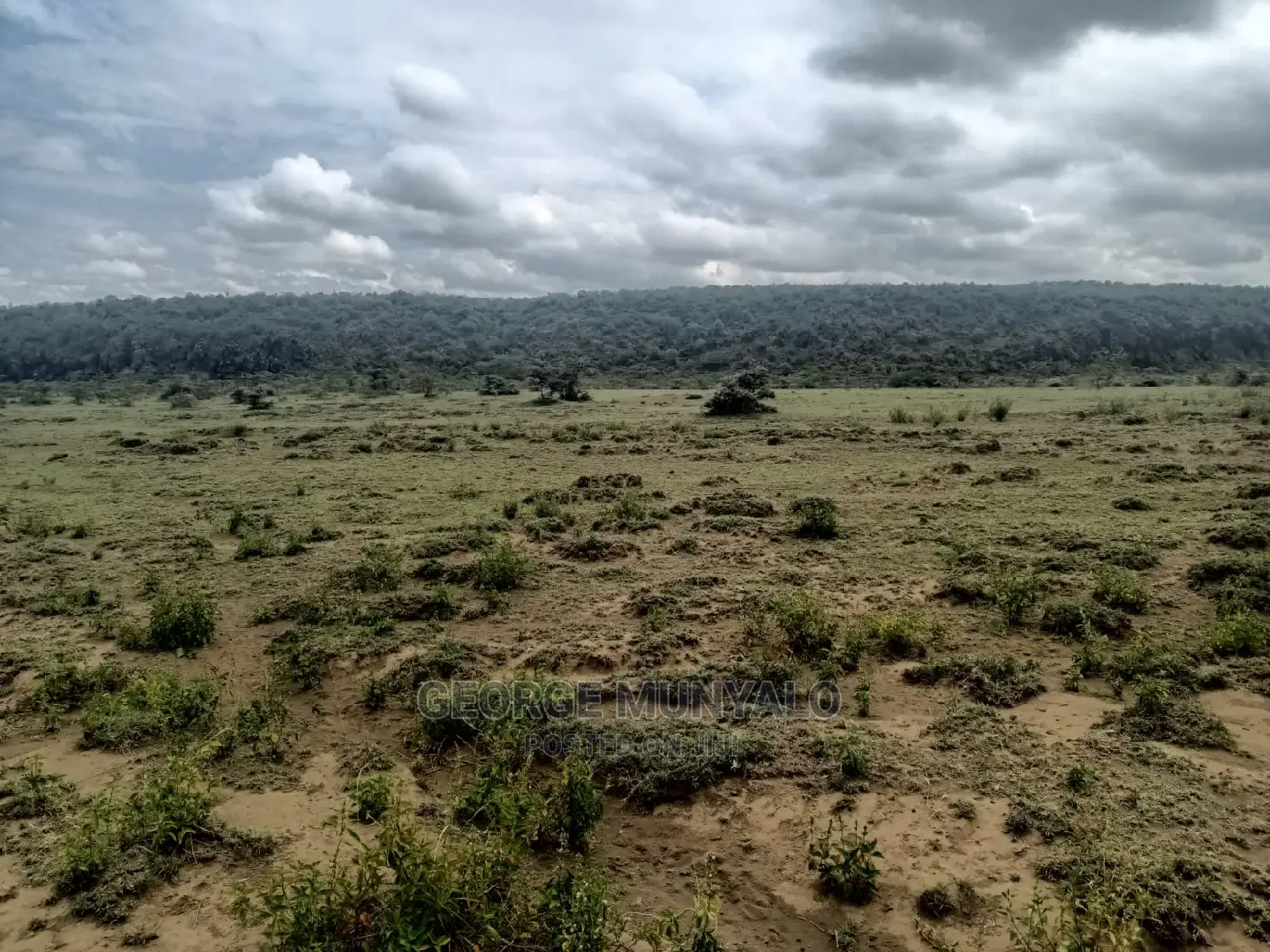 5 Acres of Land for Sale - Perfect for Your Dream Home in Mai Mahiu