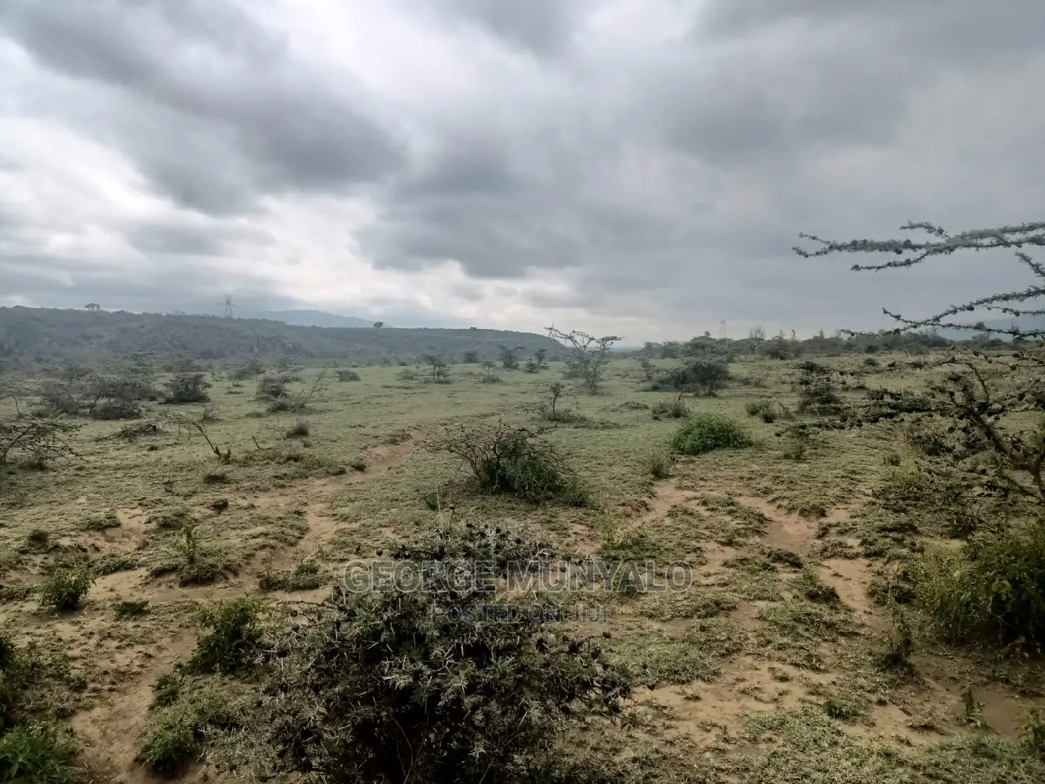5 Acres of Land for Sale - Perfect for Your Dream Home in Mai Mahiu