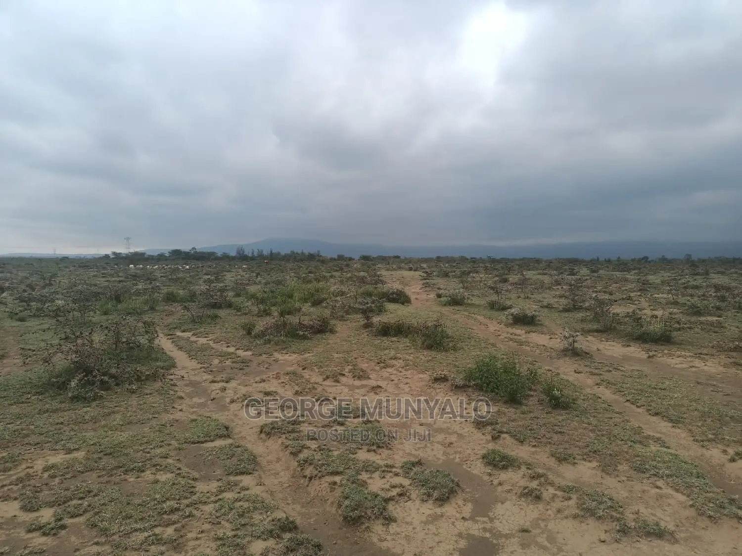 5 Acres of Land for Sale - Perfect for Your Dream Home in Mai Mahiu