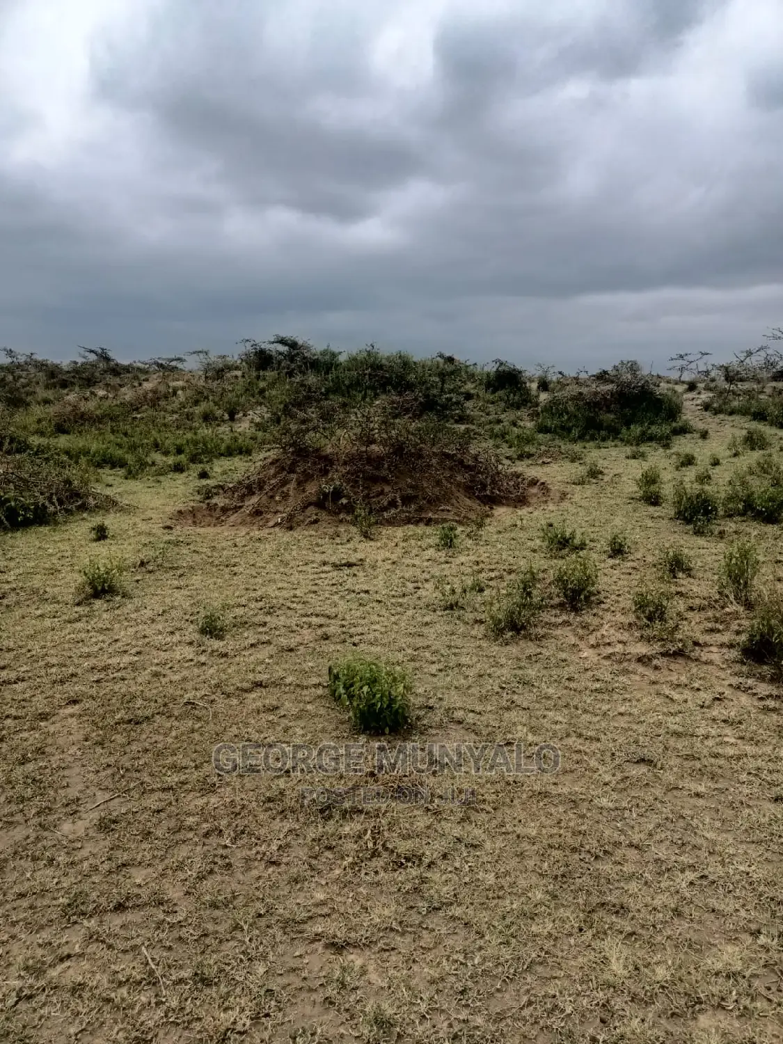 5 Acres of Land for Sale - Perfect for Your Dream Home in Mai Mahiu