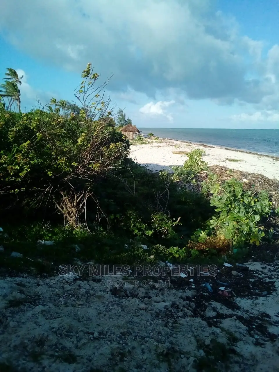 Beachfront Property: 8 Acres for Sale in Watamu, Malindi in Watamu