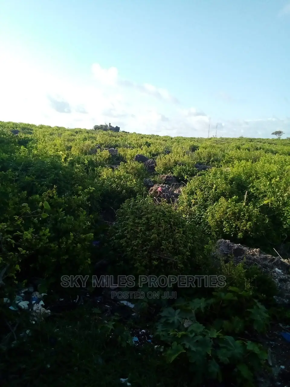 Beachfront Property: 8 Acres for Sale in Watamu, Malindi in Watamu
