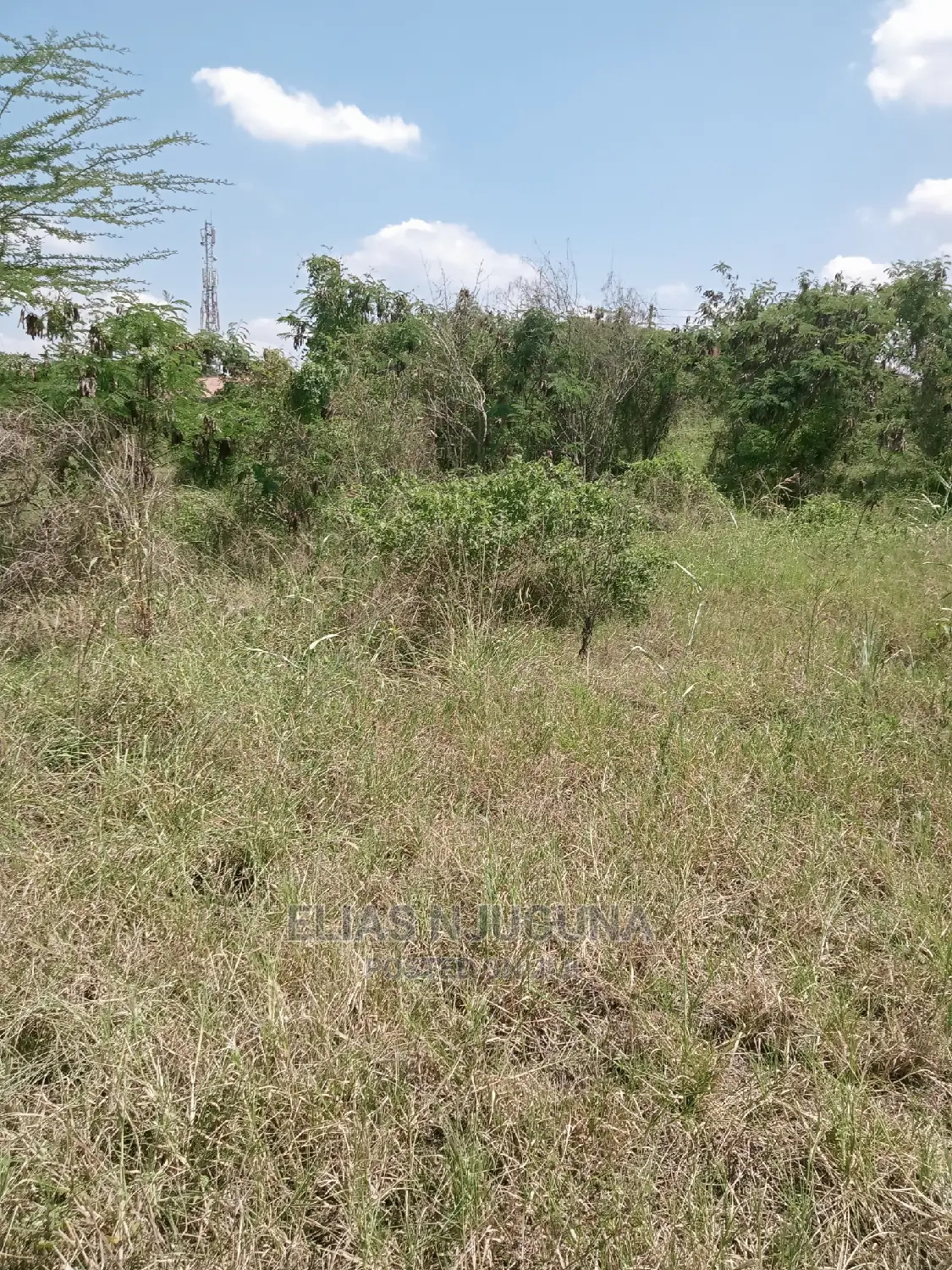 Olkalau 1acre Olojololok , 2.5km From Tarmac in Roysambu