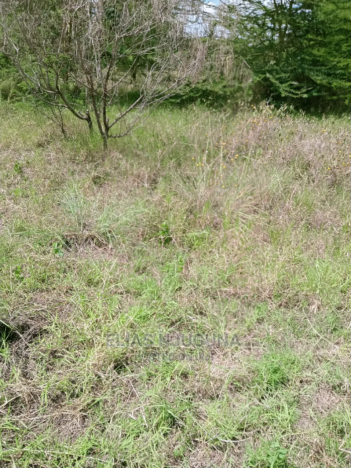 Olkalau 1acre Olojololok , 2.5km From Tarmac in Roysambu