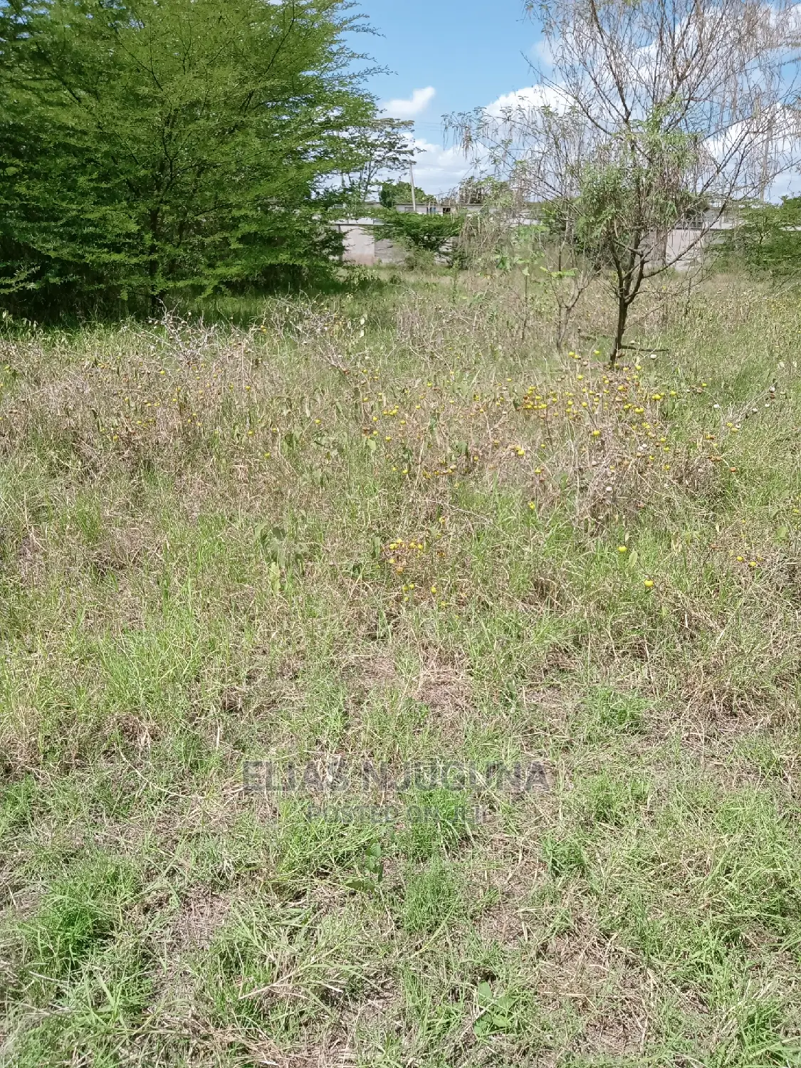 Olkalau 1acre Olojololok , 2.5km From Tarmac in Roysambu