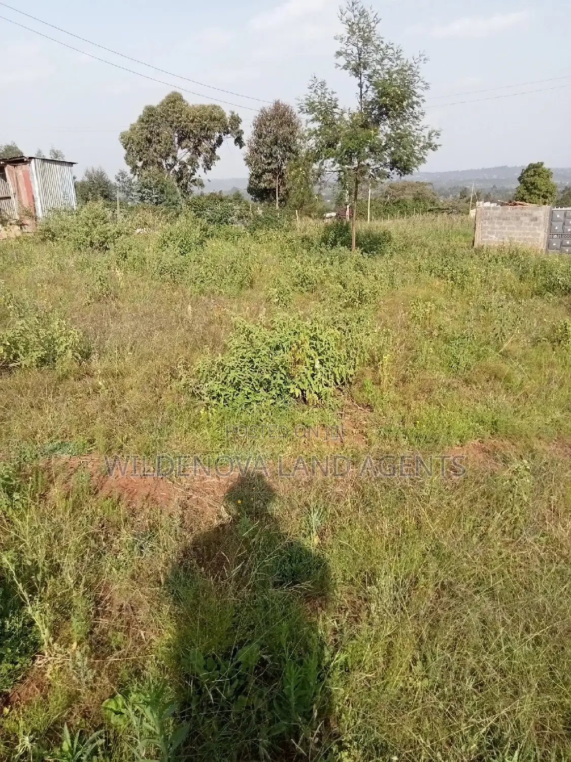 Kamangu Kiambu: Affordable 50*100 Plot for Sale - Perfect for Your Dream Home in Kiambu / Kiambu