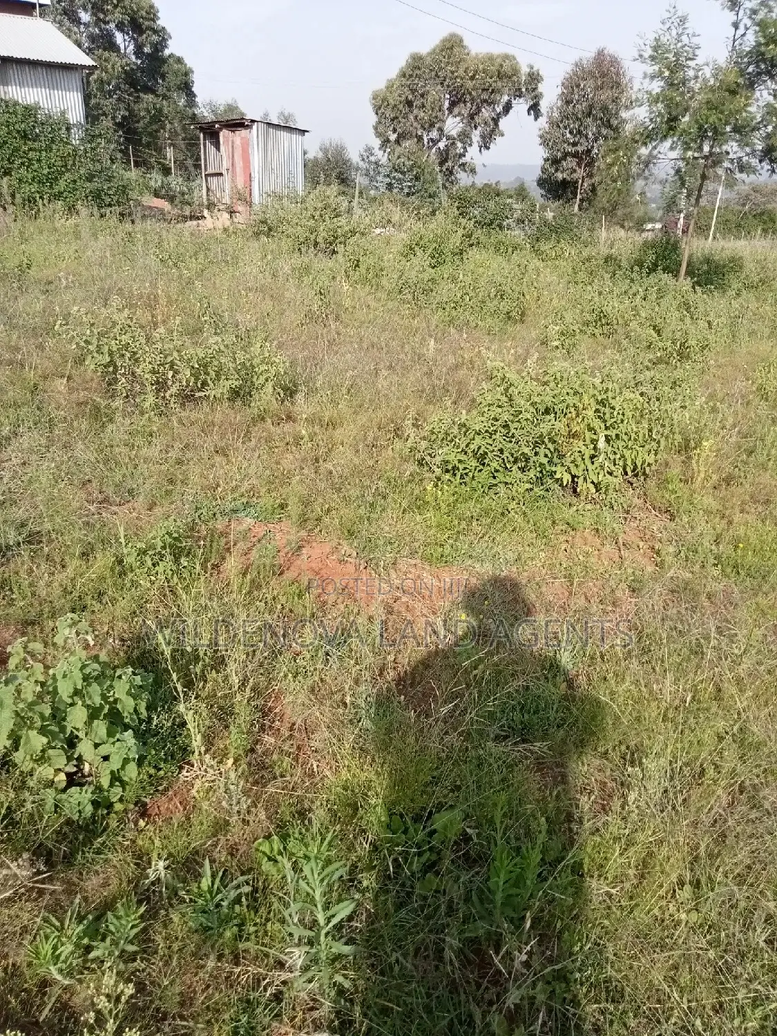 Kamangu Kiambu: Affordable 50*100 Plot for Sale - Perfect for Your Dream Home in Kiambu / Kiambu