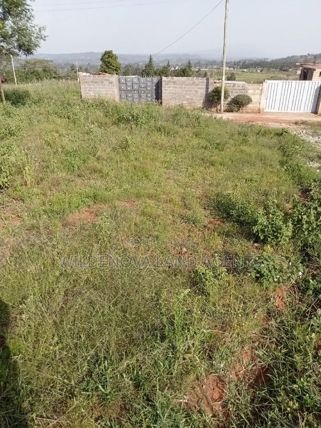 Kamangu Kiambu: Affordable 50*100 Plot for Sale - Perfect for Your Dream Home in Kiambu / Kiambu