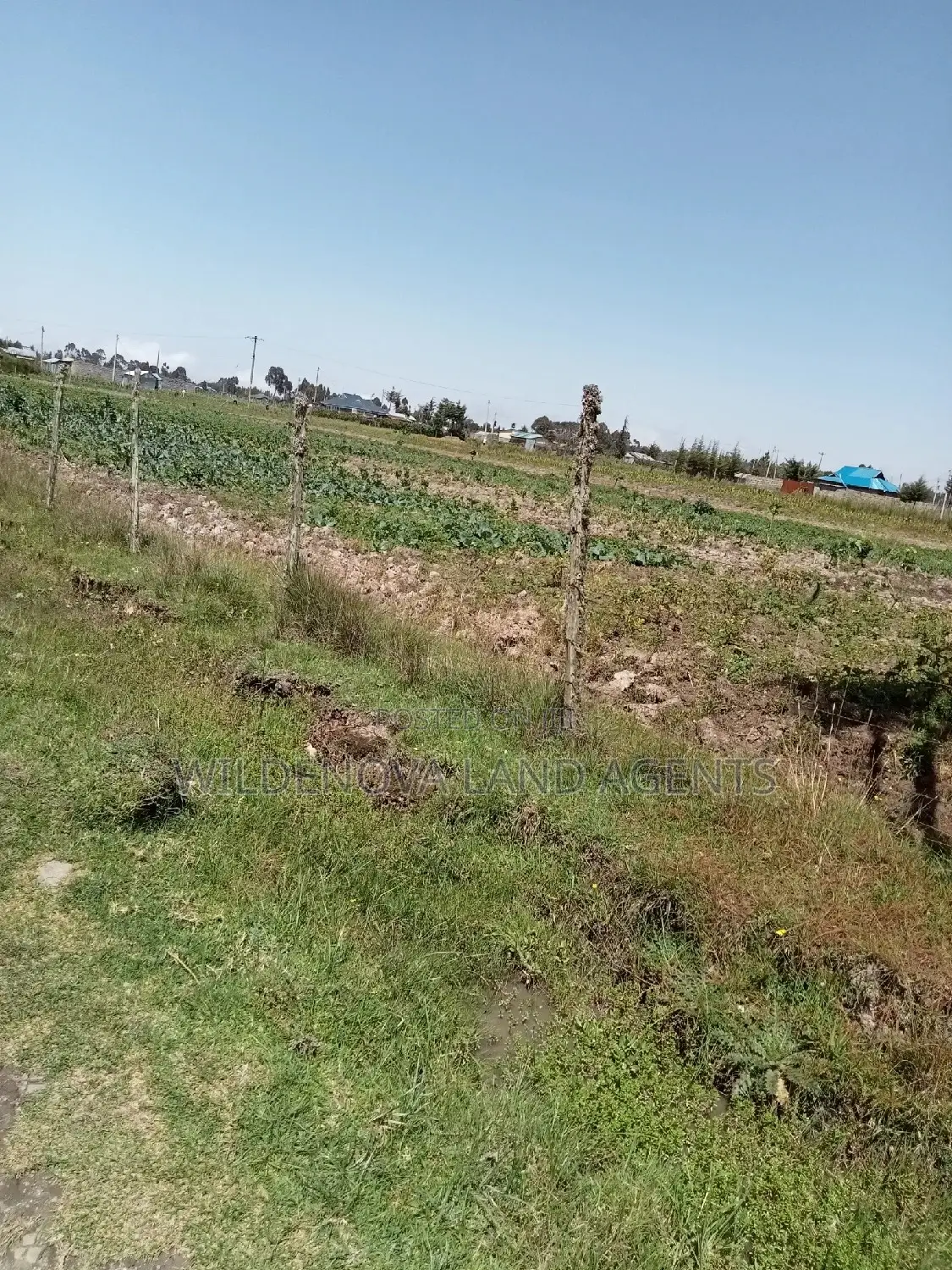 2 Acres for Sale - Magumu Kinangop: Perfect for Agriculture in North Kinangop