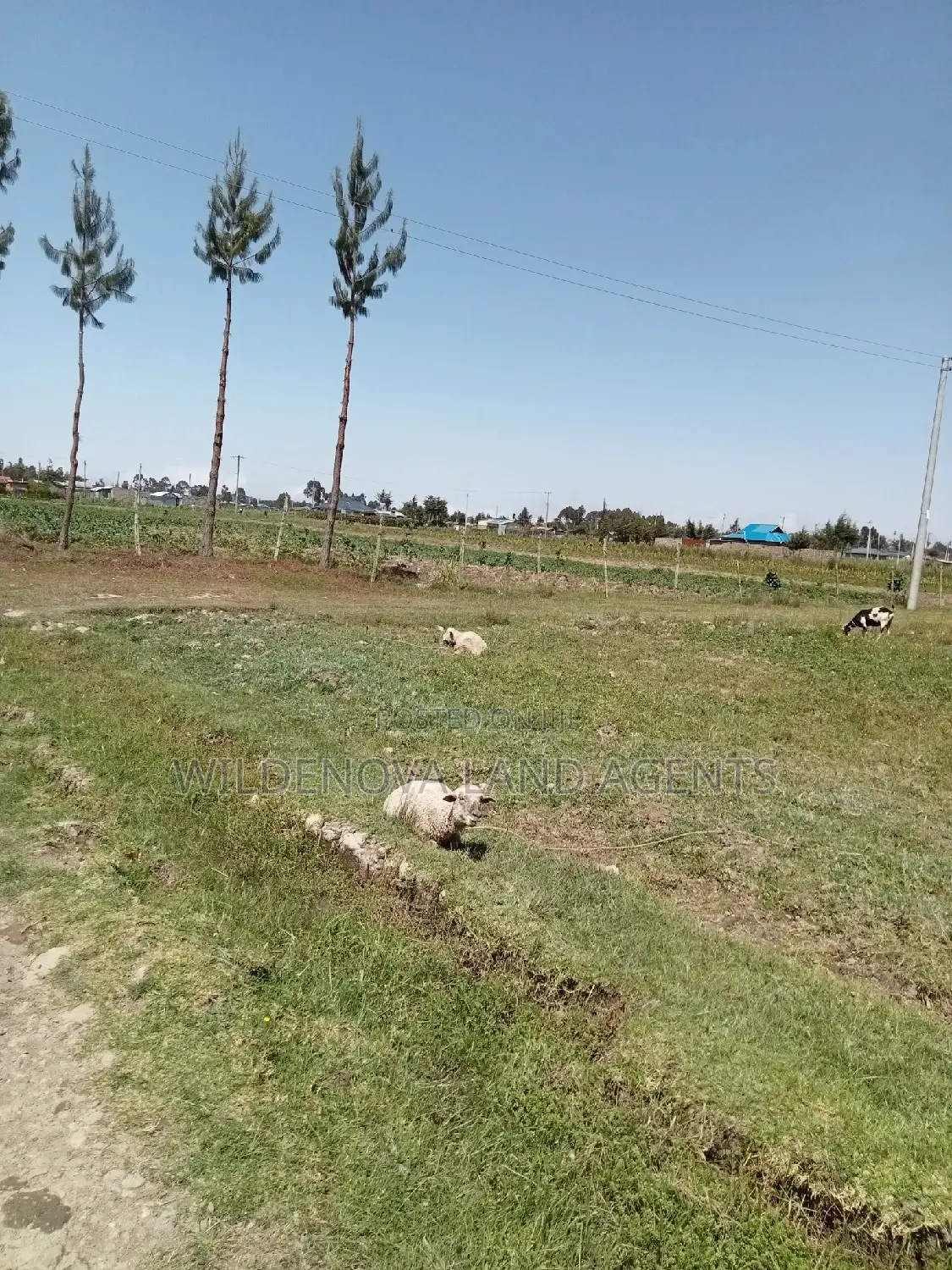 2 Acres for Sale - Magumu Kinangop: Perfect for Agriculture in North Kinangop