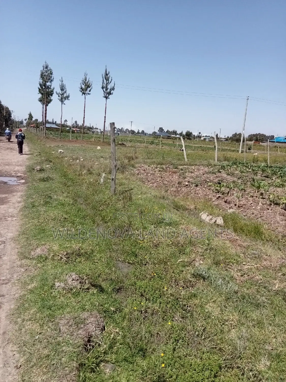 2 Acres for Sale - Magumu Kinangop: Perfect for Agriculture in North Kinangop