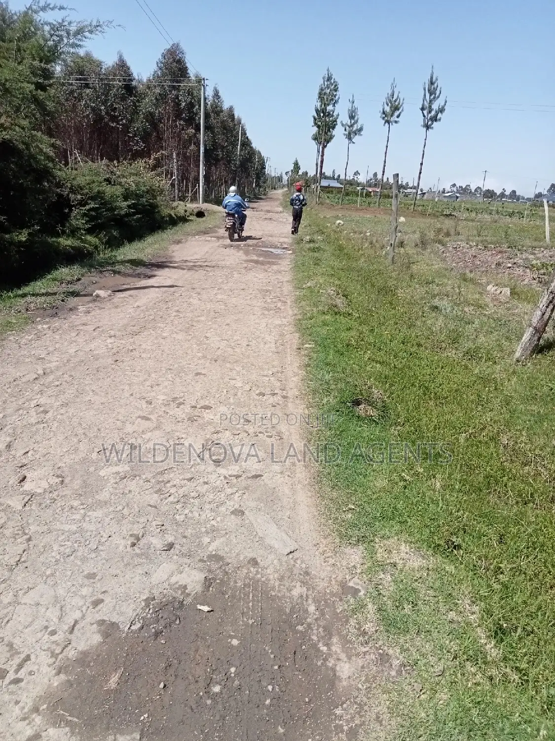 2 Acres for Sale - Magumu Kinangop: Perfect for Agriculture in North Kinangop