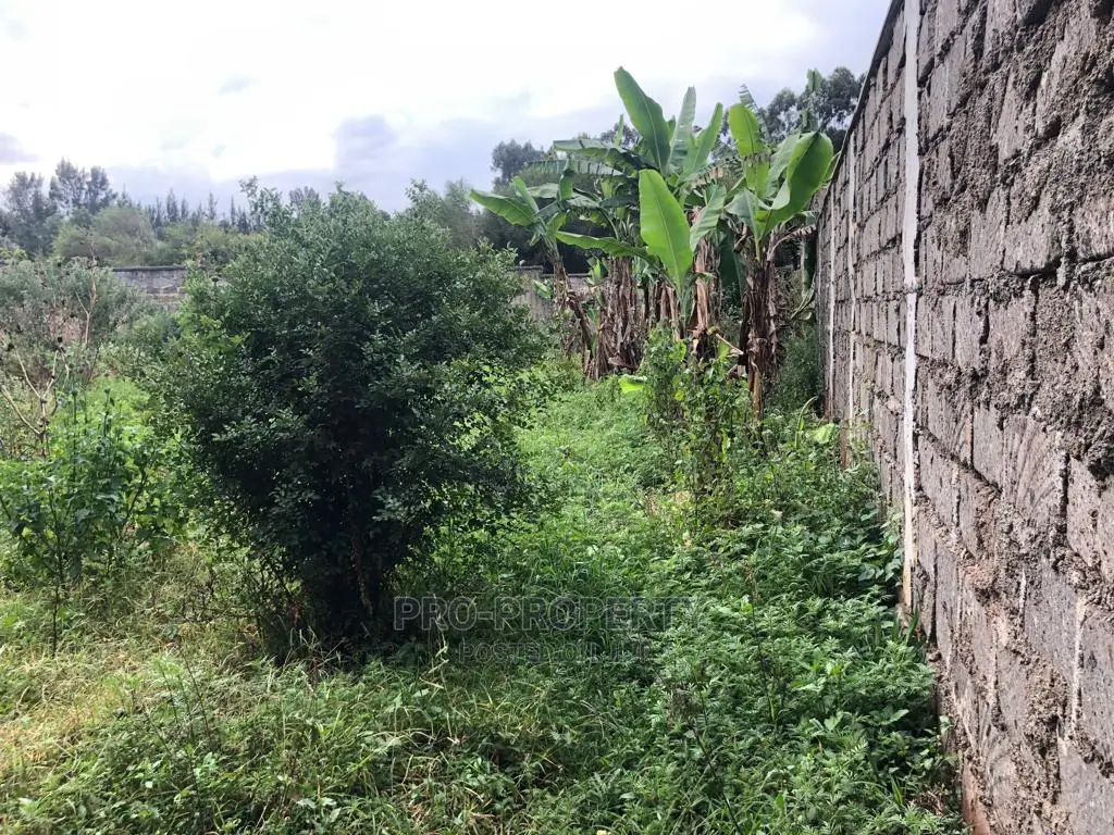 Fenced 0.05 Ha Plot for Sale in Kikuyu, Gikambura in Karai