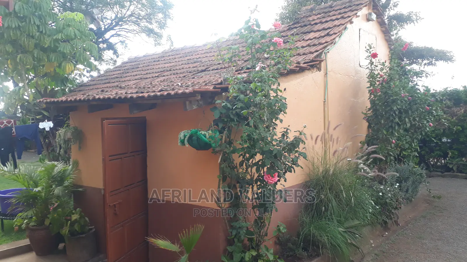 Hardy's Commercial-Residential Development: Ideal Investment Opportunity in Hardy