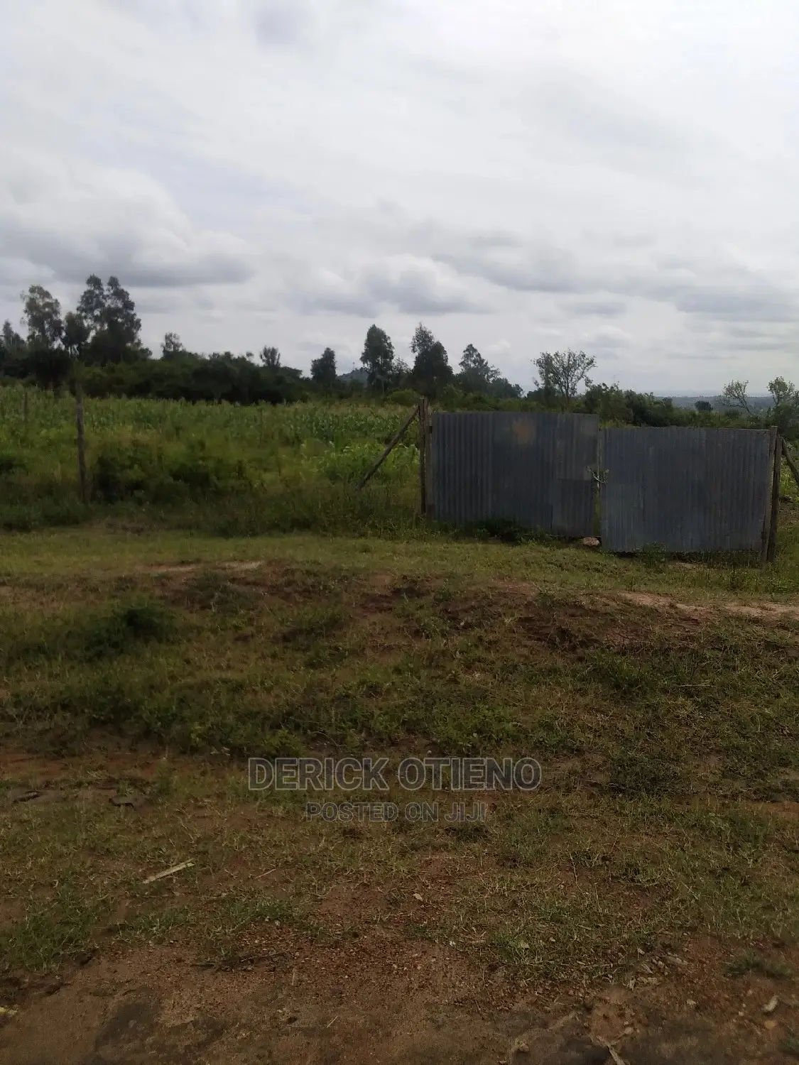 Spacious One-Acre Plot in Lavington Available in Lavington