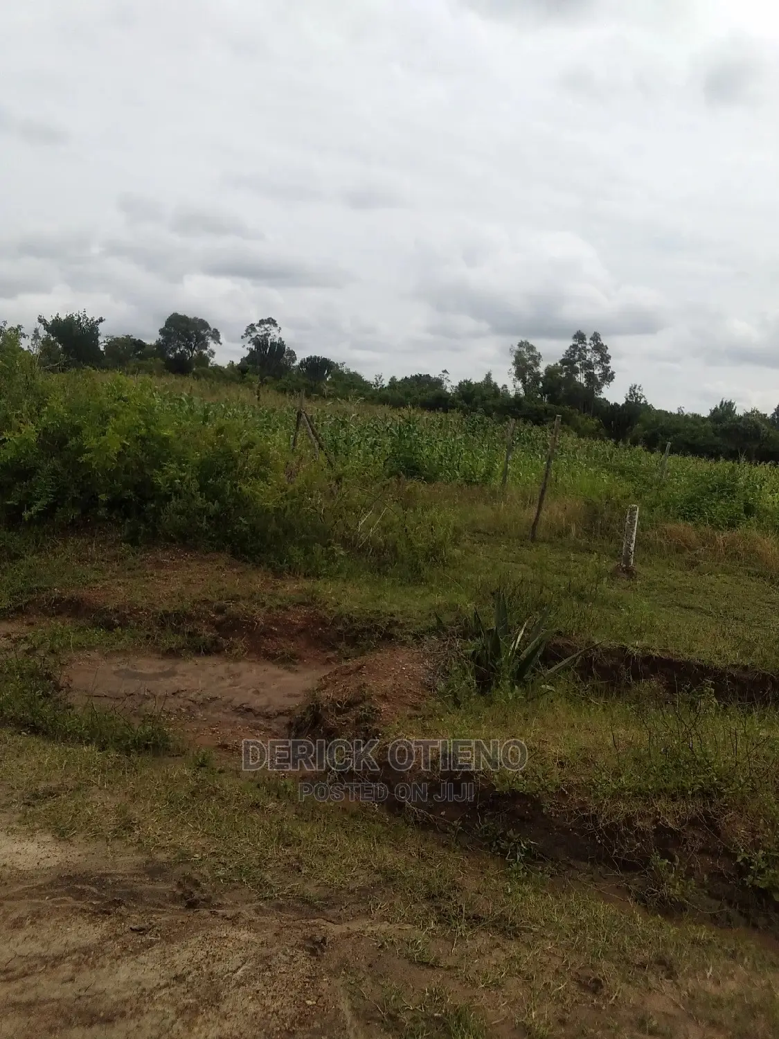 Spacious One-Acre Plot in Lavington Available in Lavington