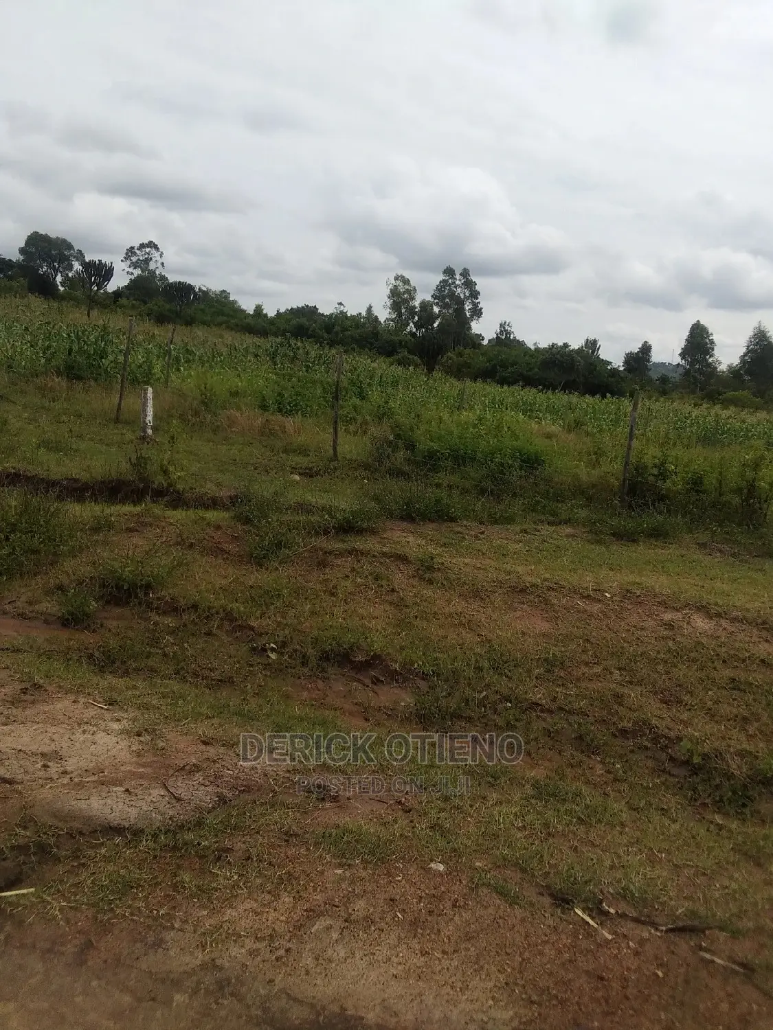 Spacious One-Acre Plot in Lavington Available in Lavington