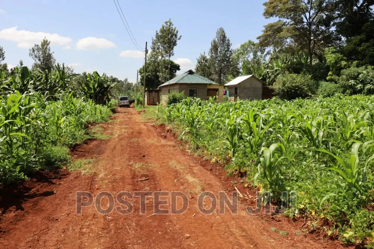 Prime Plots Along Kenyatta Road in Ngenda