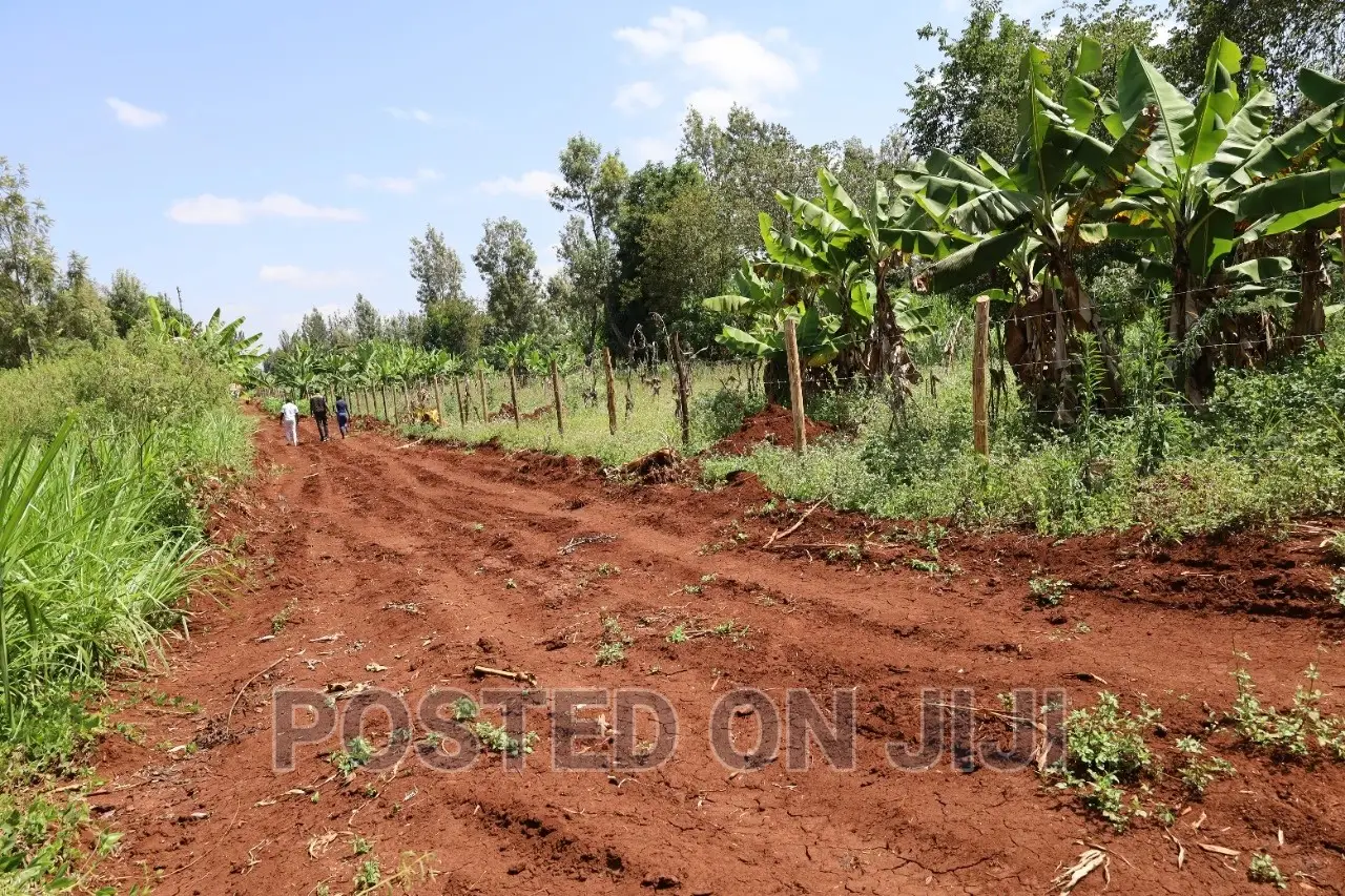 Prime Plots Along Kenyatta Road in Ngenda