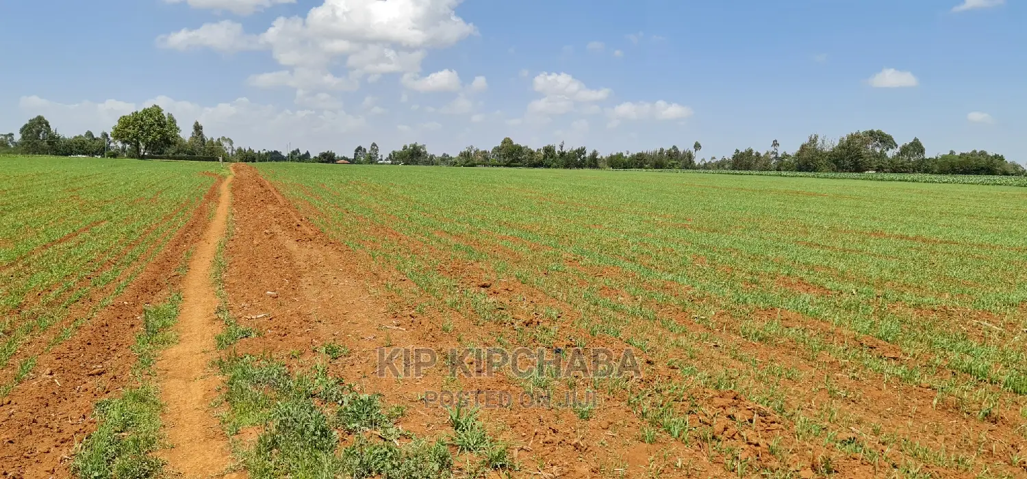 25-Acre Farm Land for Purchase: Sergoit Moiben, Rldoret in Sergoit