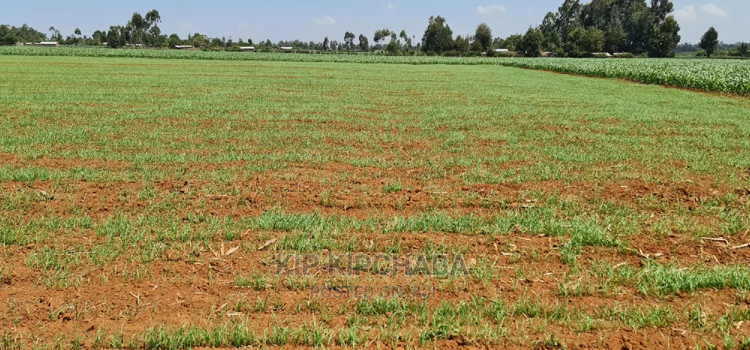 25-Acre Farm Land for Purchase: Sergoit Moiben, Rldoret in Sergoit