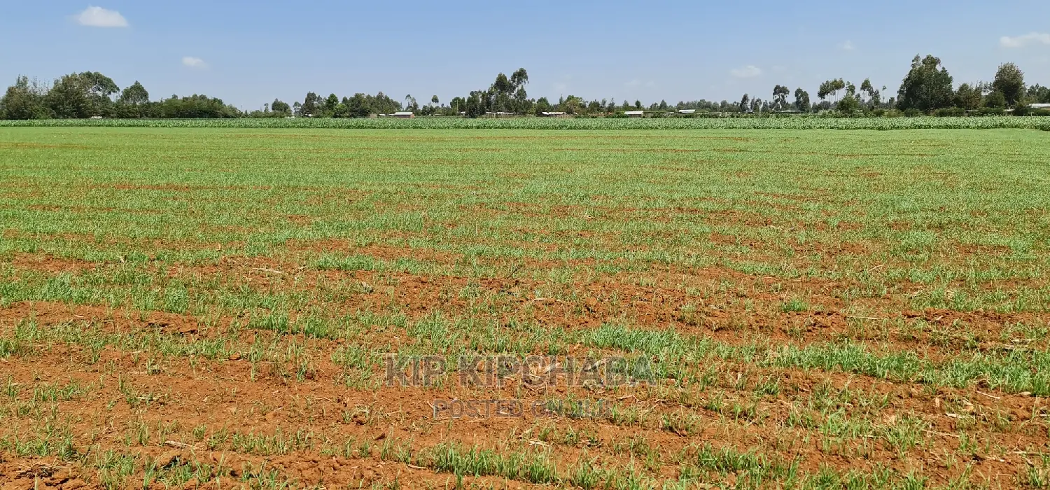 25-Acre Farm Land for Purchase: Sergoit Moiben, Rldoret in Sergoit
