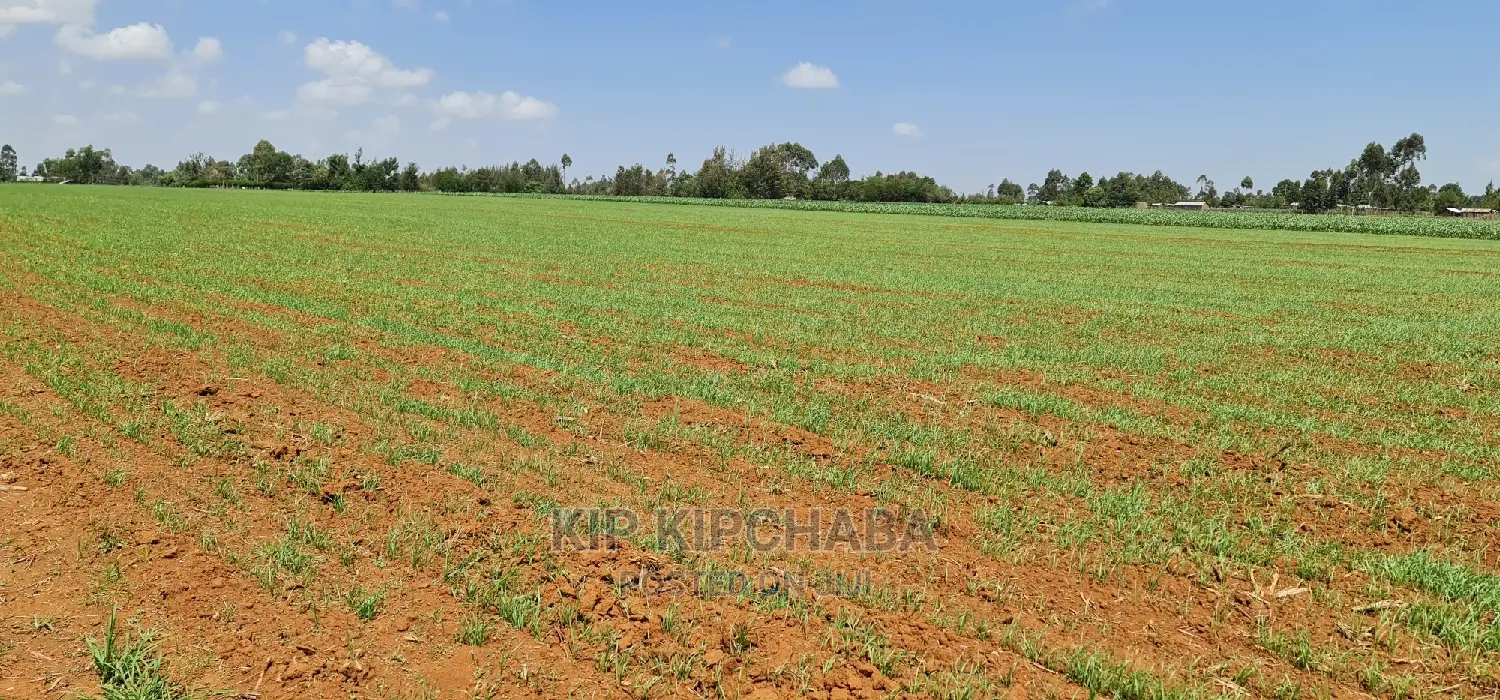 25-Acre Farm Land for Purchase: Sergoit Moiben, Rldoret in Sergoit