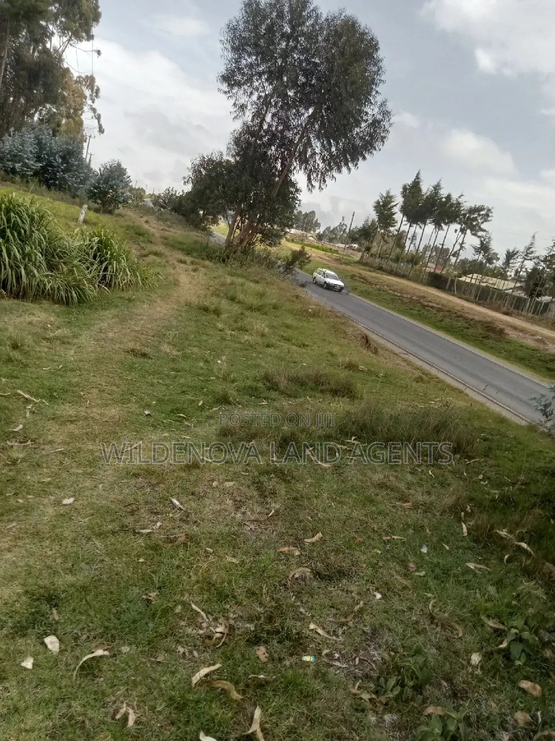 Purchase 1 Acre Land in Mwendandu Kinangop Today in North Kinangop