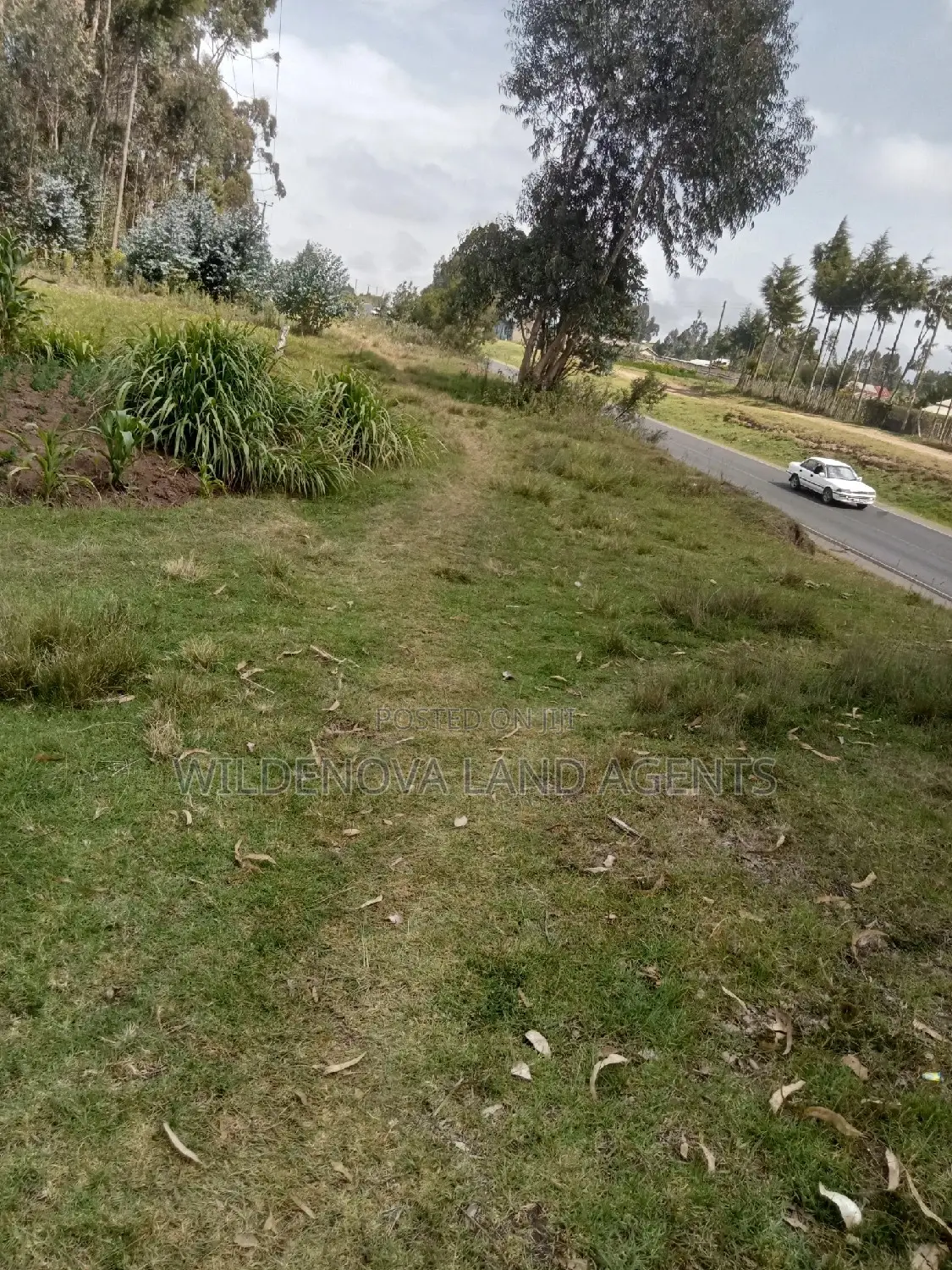 Purchase 1 Acre Land in Mwendandu Kinangop Today in North Kinangop