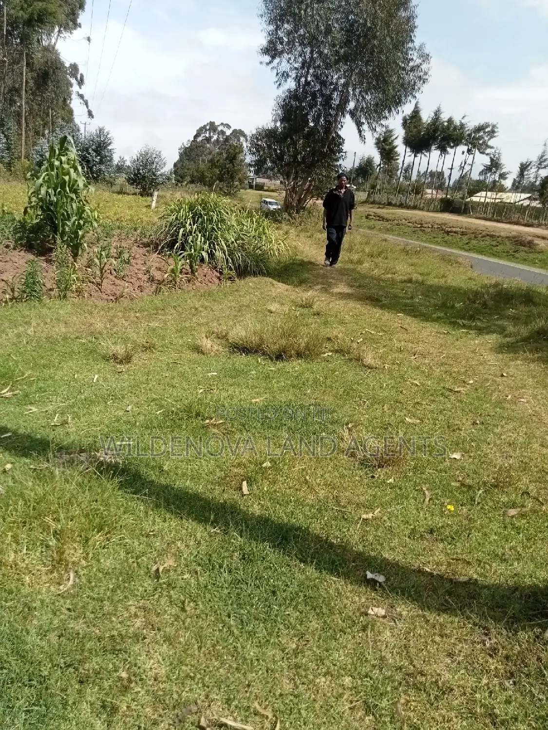 Purchase 1 Acre Land in Mwendandu Kinangop Today in North Kinangop