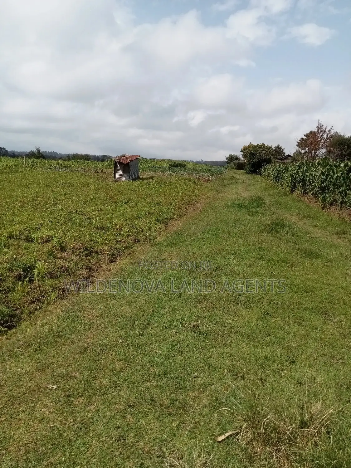 Purchase 1 Acre Land in Mwendandu Kinangop Today in North Kinangop