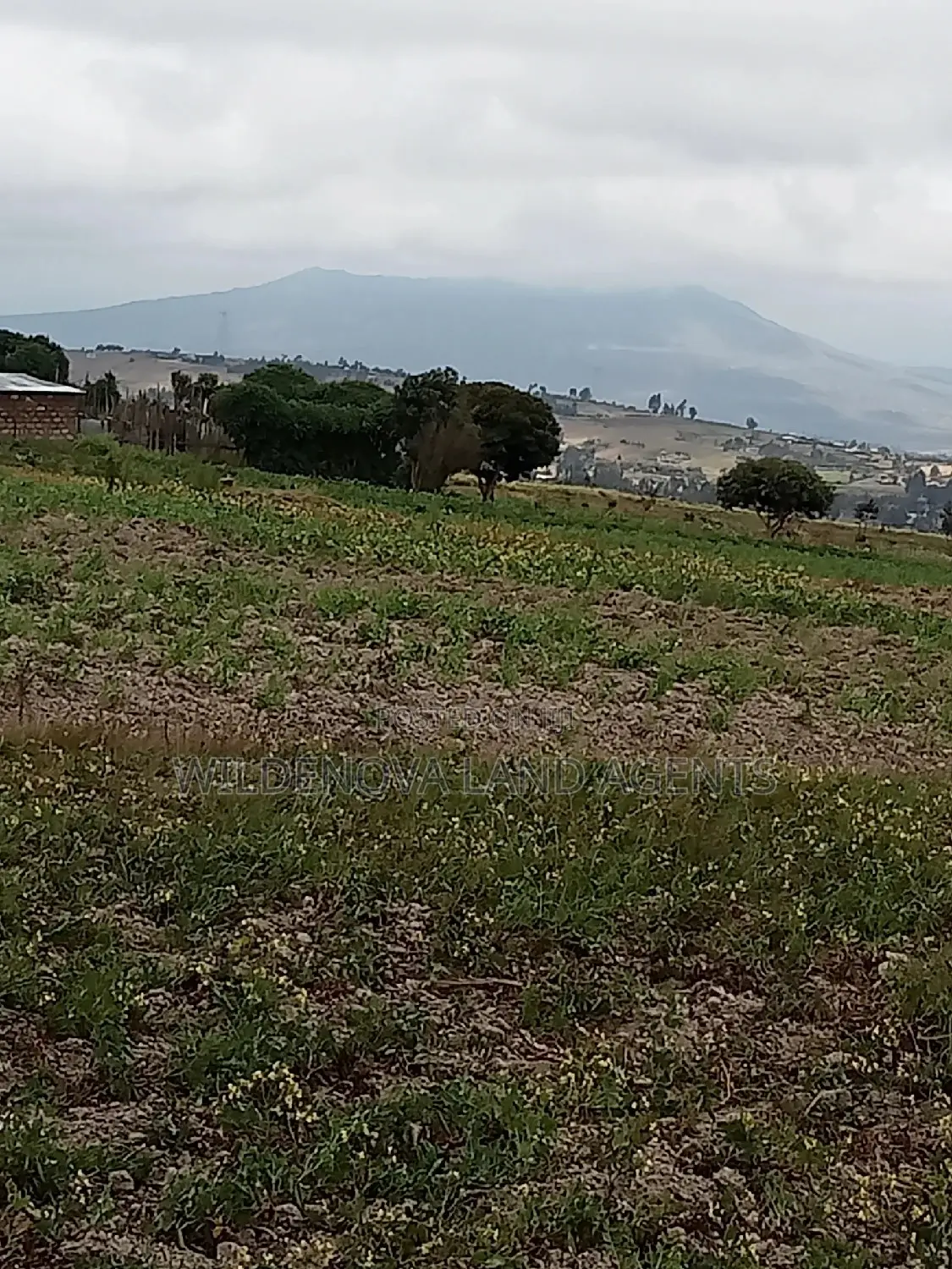 2 Acres Land for Purchase: Kenyatta Road, Kinangop - Seize the Opportunity in North Kinangop