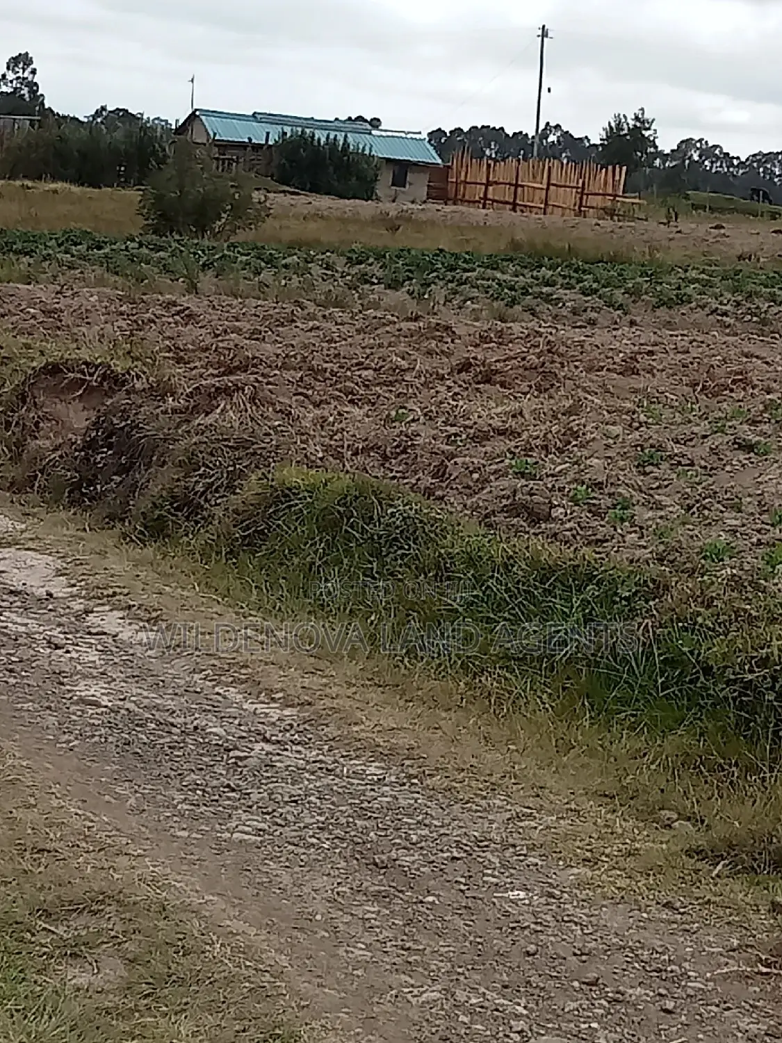 2 Acres Land for Purchase: Kenyatta Road, Kinangop - Seize the Opportunity in North Kinangop