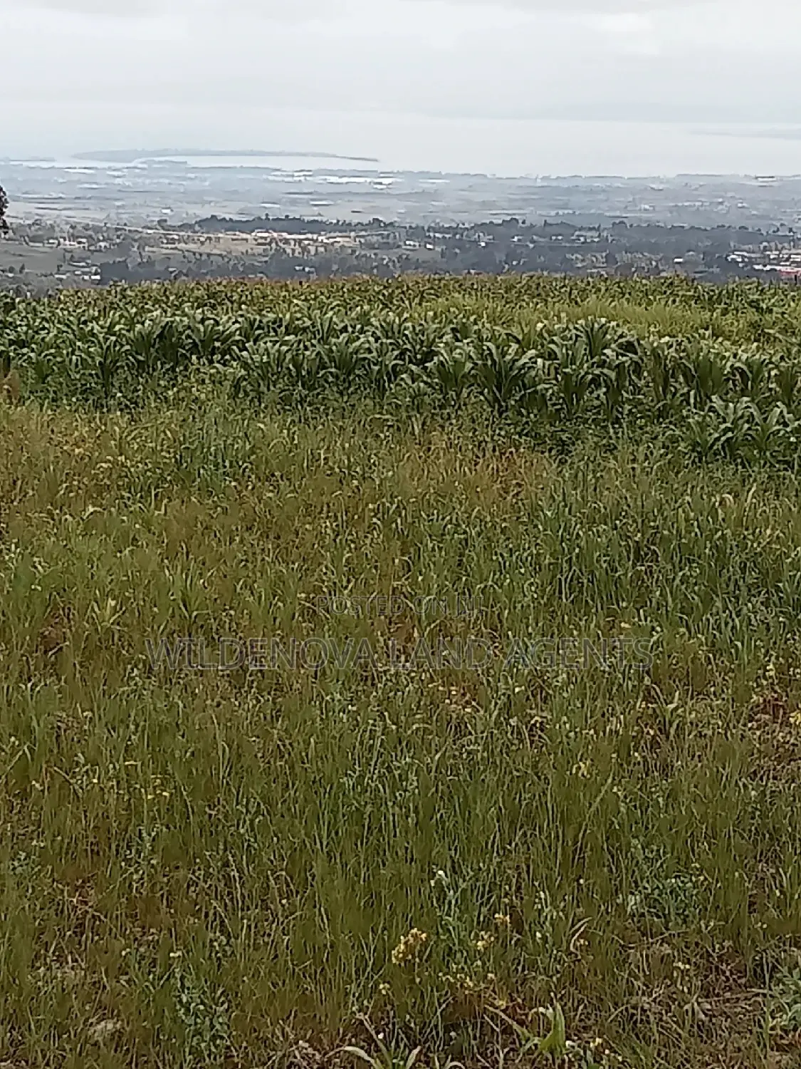2 Acres Land for Purchase: Kenyatta Road, Kinangop - Seize the Opportunity in North Kinangop