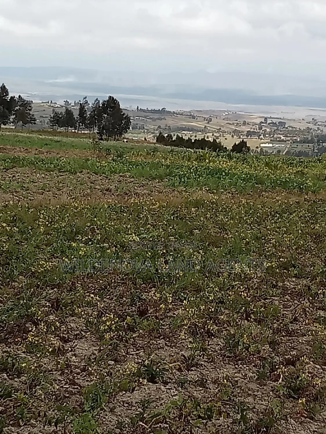 2 Acres Land for Purchase: Kenyatta Road, Kinangop - Seize the Opportunity in North Kinangop