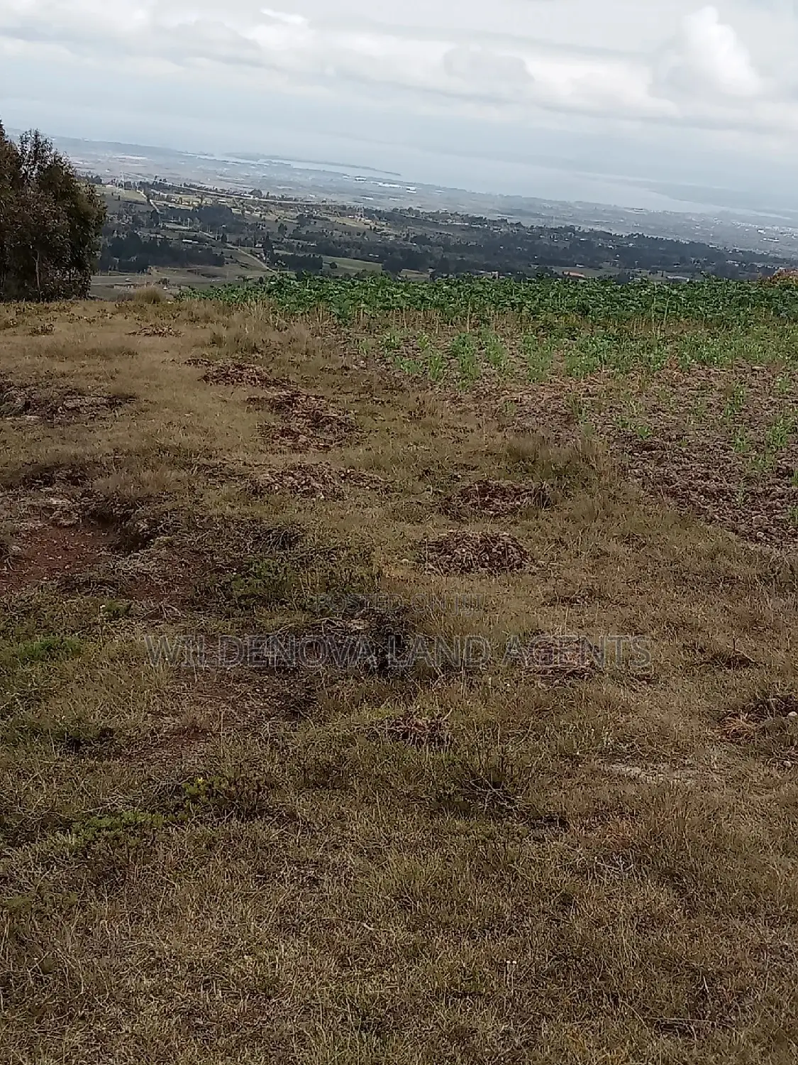 2-Acre Plot for Sale on Kenyatta Road: Yours for the Taking! in North Kinangop