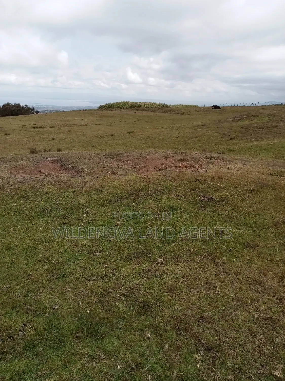 2-Acre Plot for Sale on Kenyatta Road: Yours for the Taking! in North Kinangop