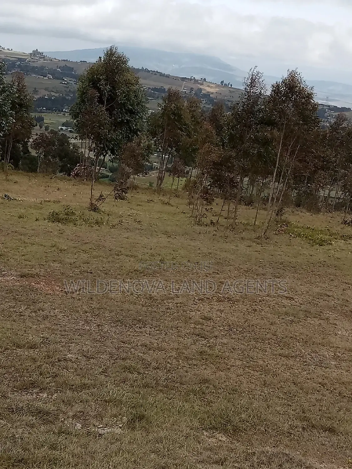 2-Acre Plot for Sale on Kenyatta Road: Yours for the Taking! in North Kinangop