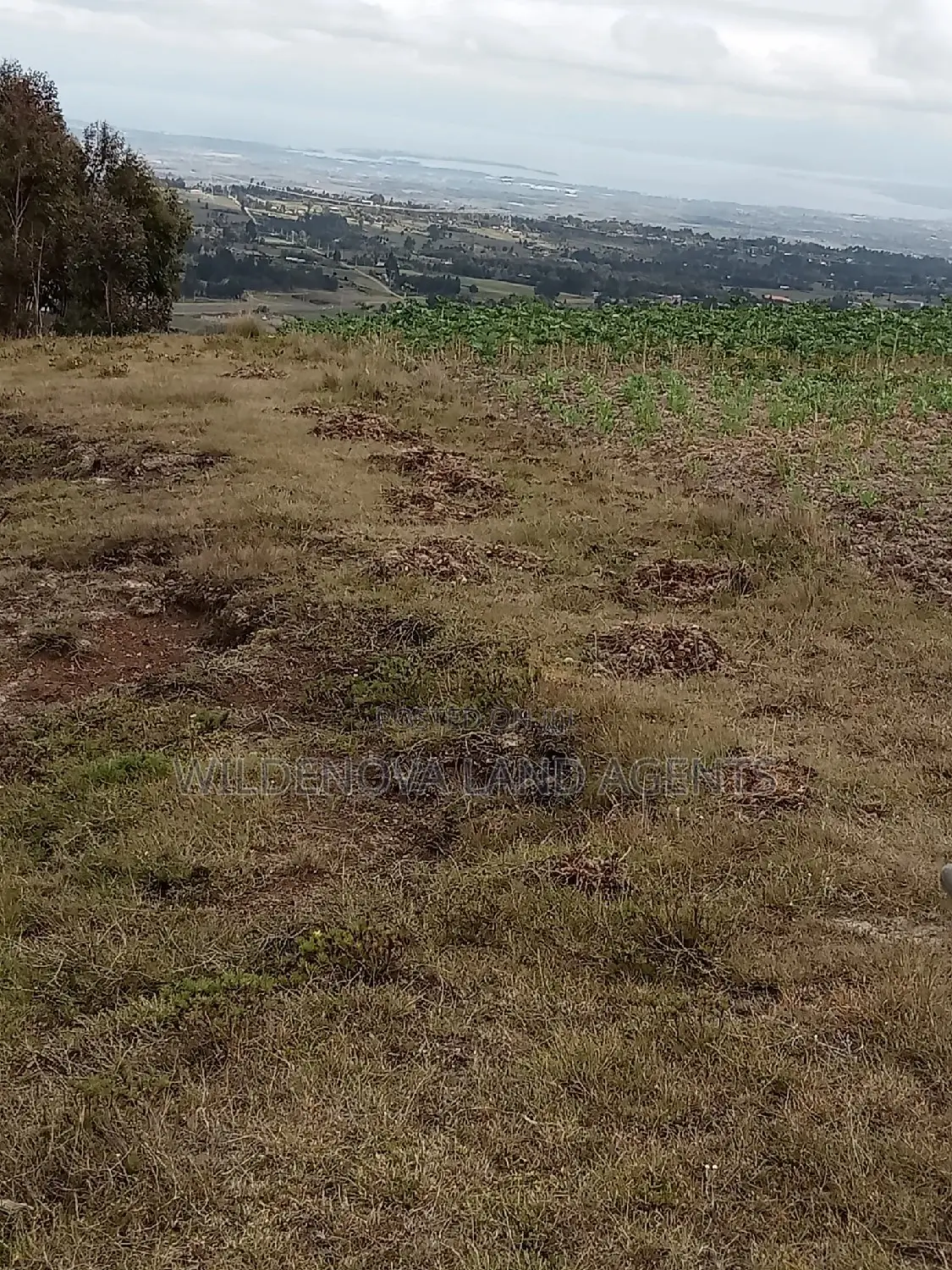 2-Acre Plot for Sale on Kenyatta Road: Yours for the Taking! in North Kinangop