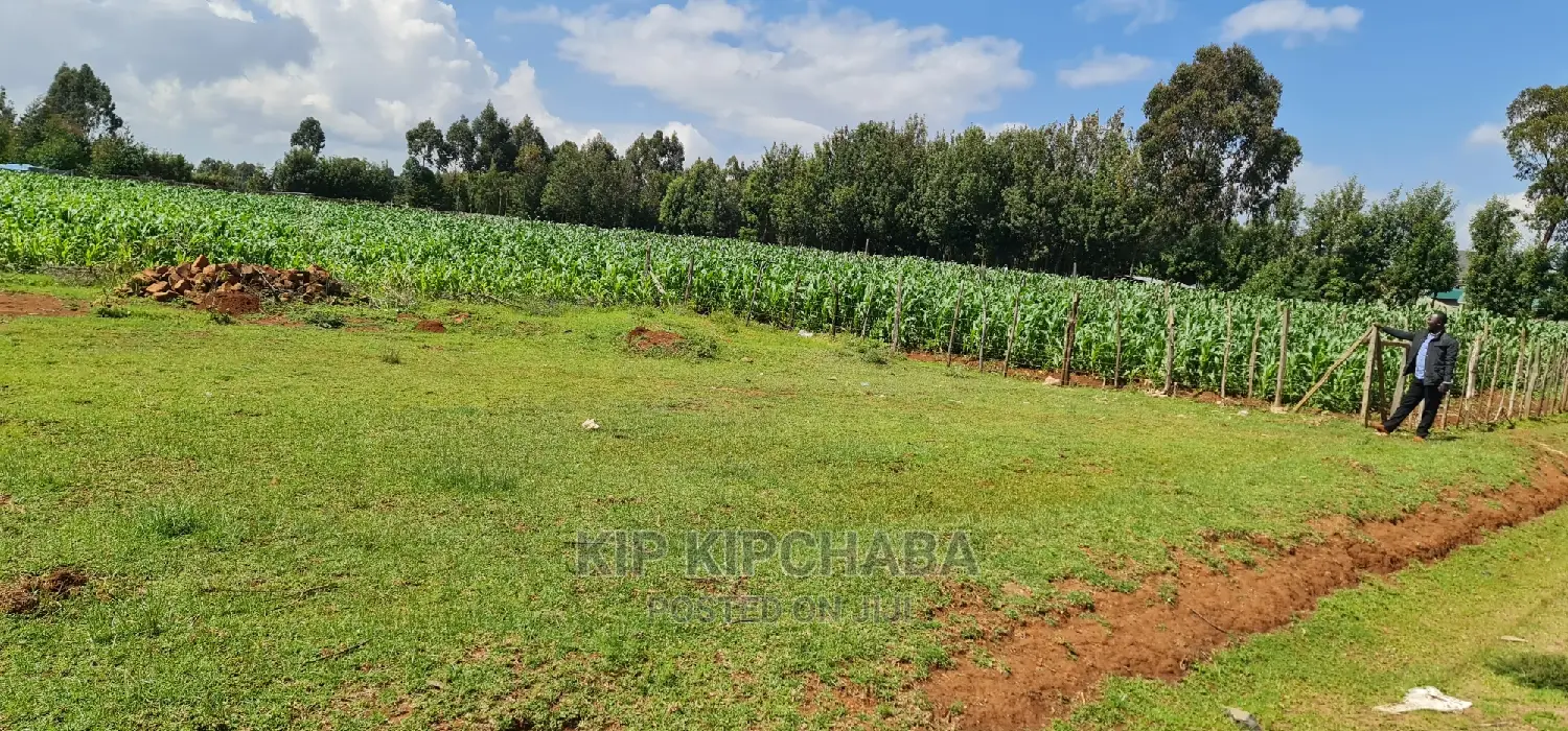 Kiplombe Eldoret: Ideal 1/4 Acre Plot for Sale - Don't Miss Out! in Kiplombe
