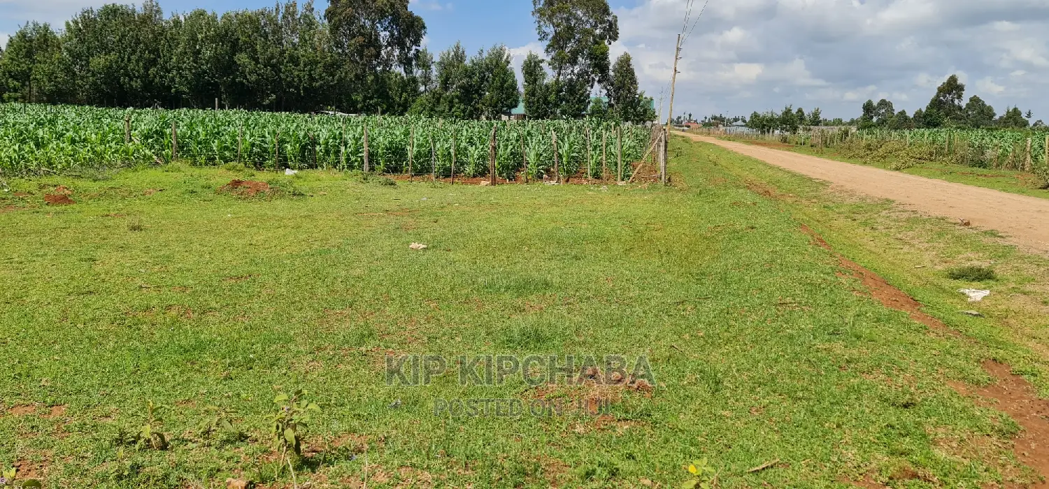 Kiplombe Eldoret: Ideal 1/4 Acre Plot for Sale - Don't Miss Out! in Kiplombe